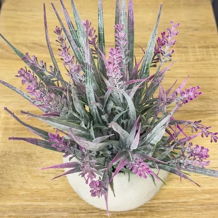 Il Dantes Vendégház